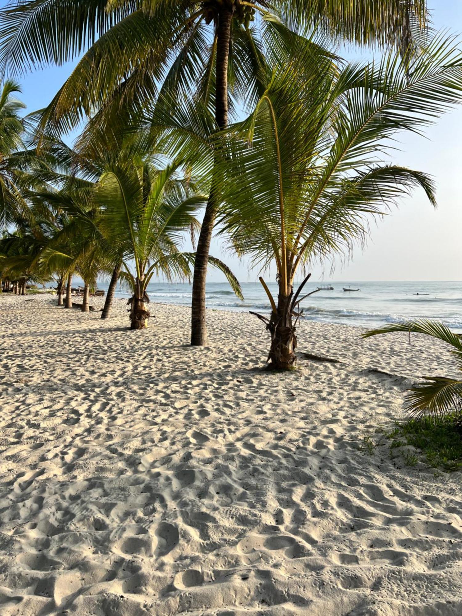 Waves And Wanderlust-ディアニ・ビーチ エクステリア 写真